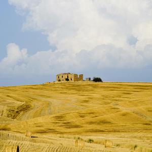 美女被强行上垒
